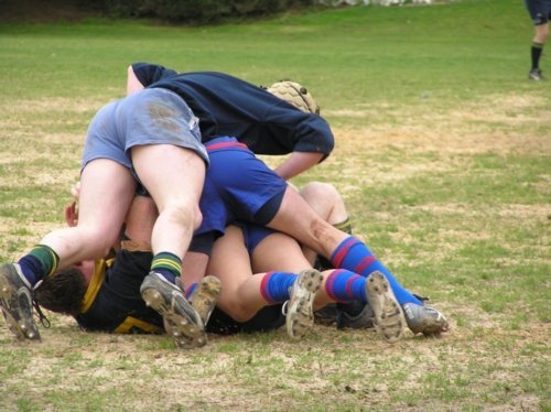 Pile On Timmy
